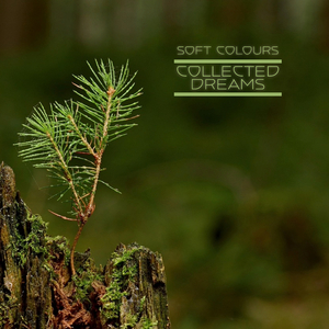 猎奇小屋app官网入口下载
