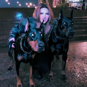 猎奇小屋app官网入口下载
