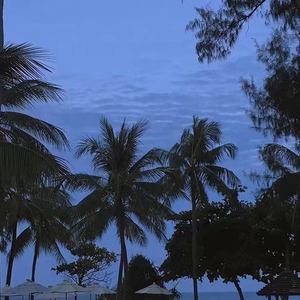 猎奇小屋app官网入口下载
